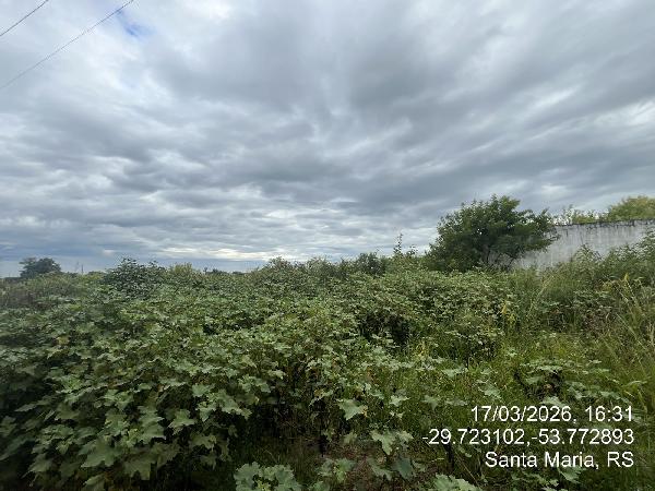 Terreno - Venda, LOT JARDIM BERLEZE, SANTA MARIA, RS